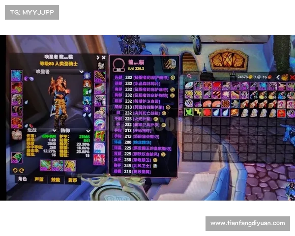 魔兽世界怀旧服：骑士小号技能指南